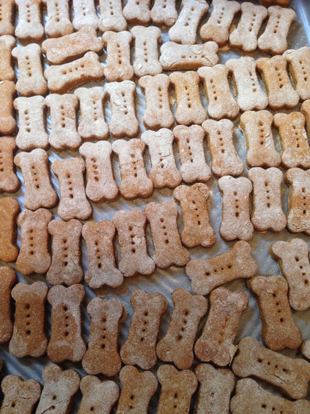 Gluten Free Dog Bones - Chicken, Organic Pumpkin, Peanut Butter - 1LB (16oz)